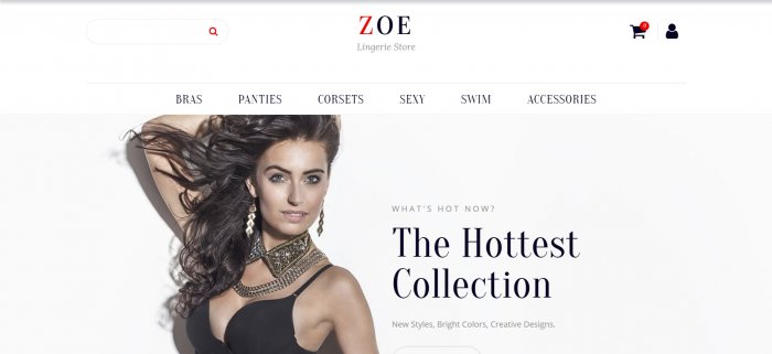 zoe lingerie store